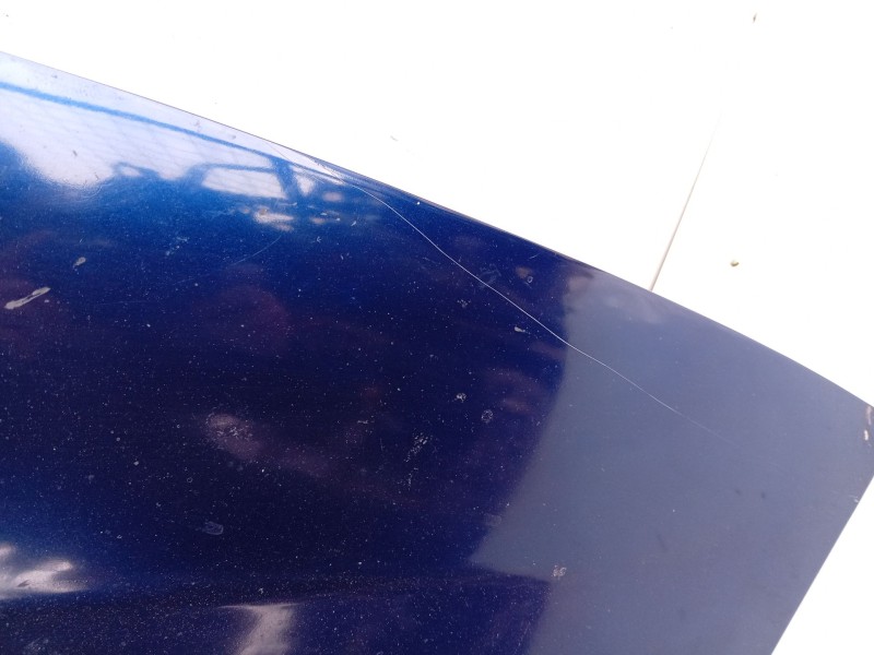 Recambio de capot para fiat bravo ii (198_) 1.9 d multijet (198axb1a) referencia OEM IAM   