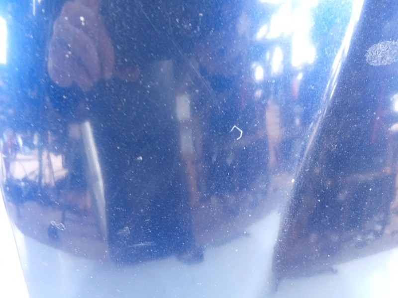 Recambio de capot para fiat bravo ii (198_) 1.9 d multijet (198axb1a) referencia OEM IAM   