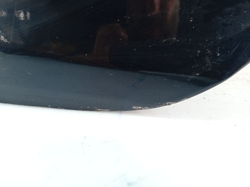 Recambio de puerta trasera izquierda para bmw 5 (e60) 525 d referencia OEM IAM 41009631831  