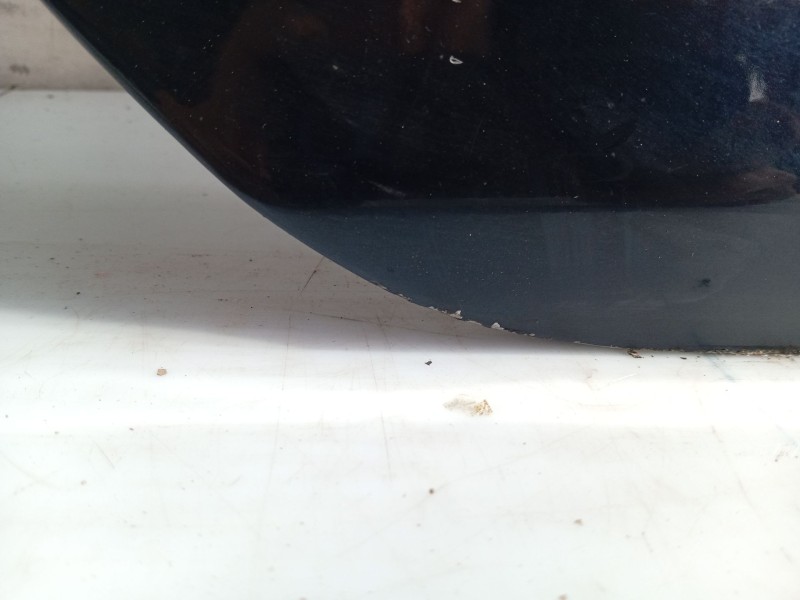 Recambio de puerta trasera derecha para bmw 5 (e60) 525 d referencia OEM IAM 41009631832  