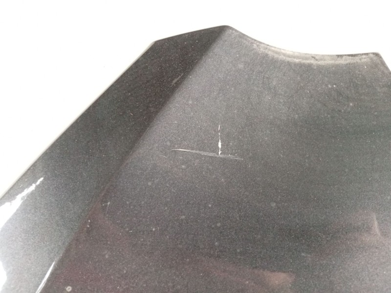 Recambio de capot para seat toledo iii (5p2) 1.6 referencia OEM IAM   