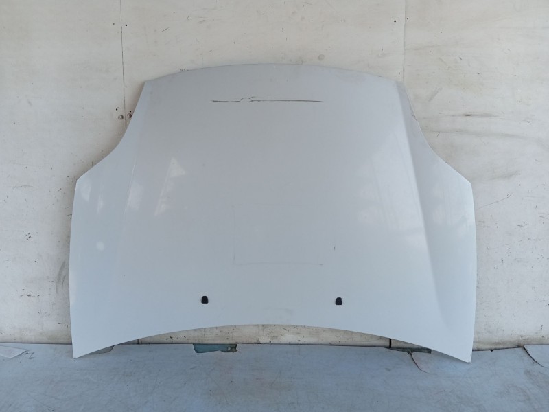 Recambio de capot para fiat bravo ii (198_) 1.6 d multijet (198axh1b) referencia OEM IAM   