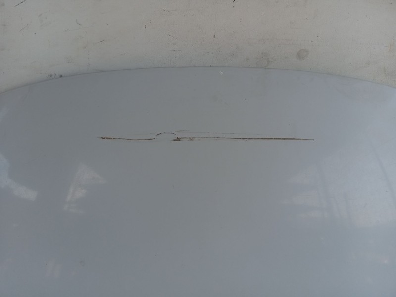 Recambio de capot para fiat bravo ii (198_) 1.6 d multijet (198axh1b) referencia OEM IAM   