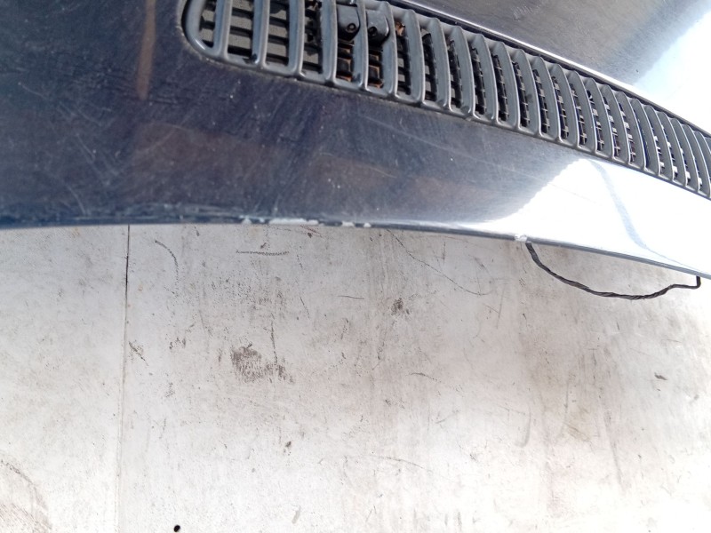 Recambio de capot para bmw 3 (e46) 320 d referencia OEM IAM   