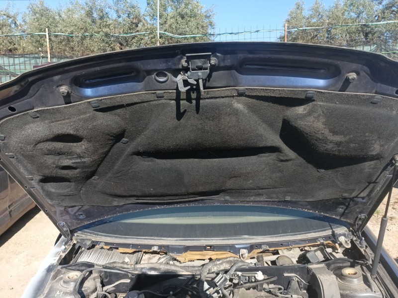 Recambio de capot para audi a3 (8l1) 1.9 tdi referencia OEM IAM 8L0823029C  