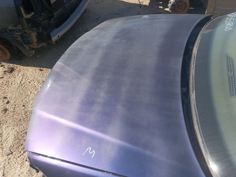 Recambio de capot para audi a3 (8l1) 1.9 tdi referencia OEM IAM 8L0823029C  