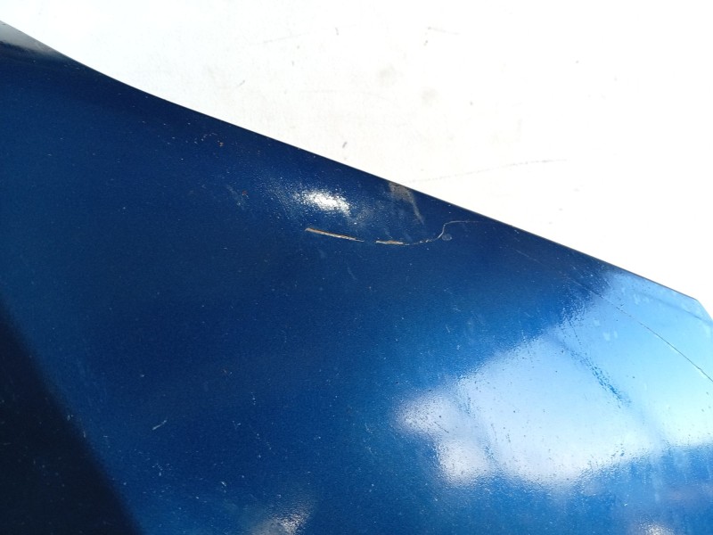 Recambio de capot para bmw 3 (e46) 320 d referencia OEM IAM   