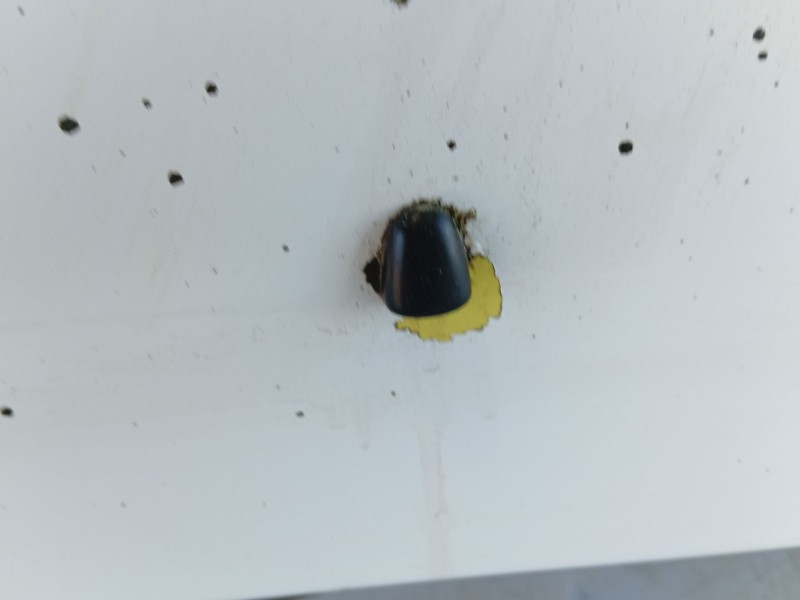 Recambio de capot para hyundai coupe (j2) referencia OEM IAM   