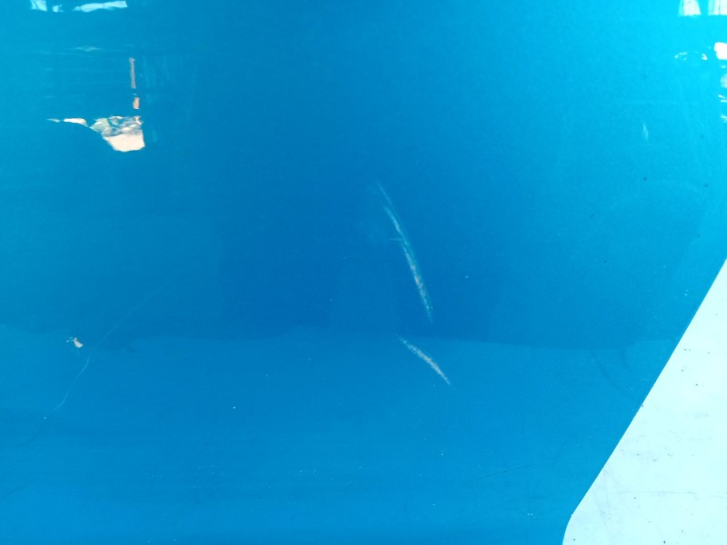 Recambio de puerta delantera izquierda para seat leon (5f1) 1.6 tdi referencia OEM IAM 5F4831055A  