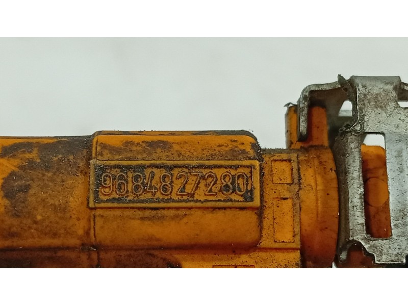 Recambio de rampa inyectora para citroën c3 ii (sc_) 1.4 referencia OEM IAM 198542  