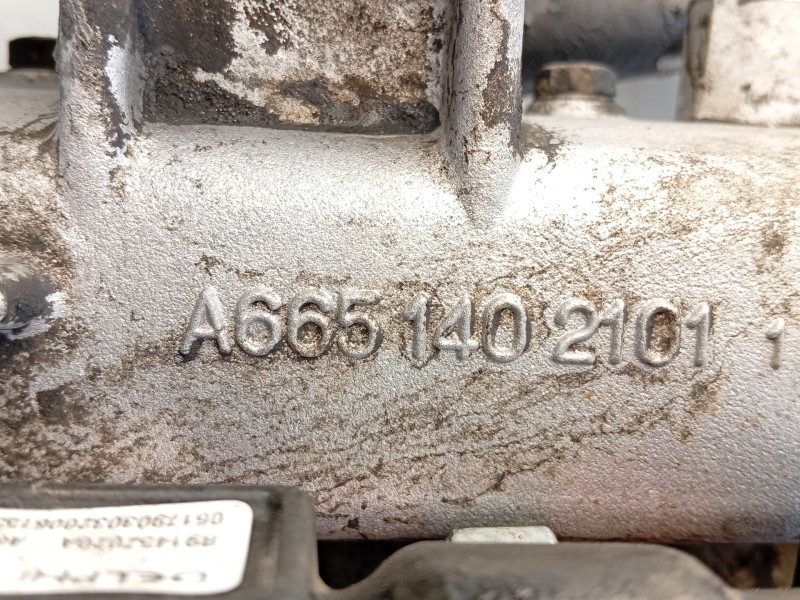 Recambio de culata para ssangyong rexton referencia OEM IAM   