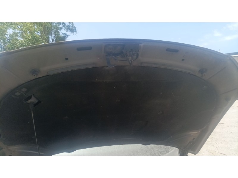 Recambio de capot para volkswagen passat b6 (3c2) 2.0 tdi 16v referencia OEM IAM   