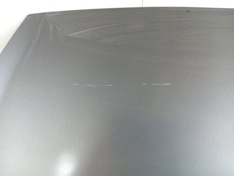 Recambio de capot para fiat grande punto (199_) 1.4 16v (199bxg1b, 199axg1b) referencia OEM IAM   