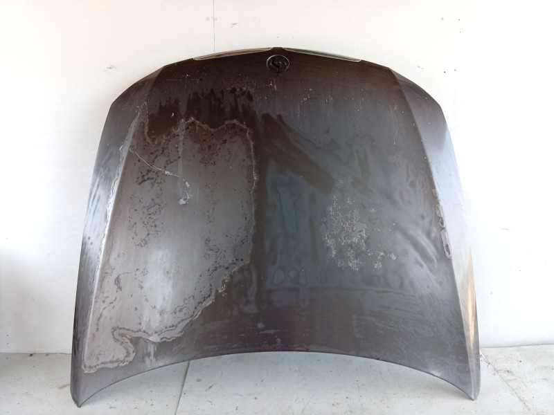 Recambio de capot para bmw 3 (e90) 318 d referencia OEM IAM   