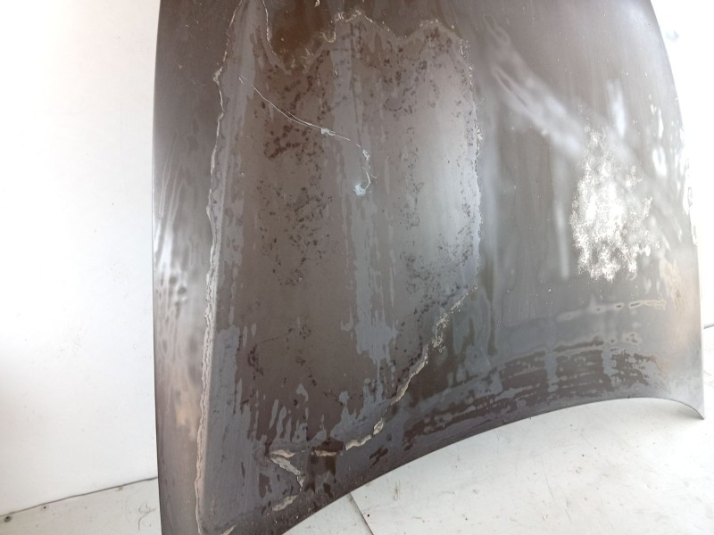 Recambio de capot para bmw 3 (e90) 318 d referencia OEM IAM   