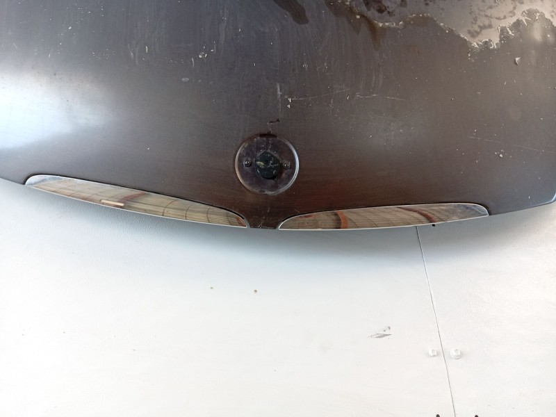 Recambio de capot para bmw 3 (e90) 318 d referencia OEM IAM   