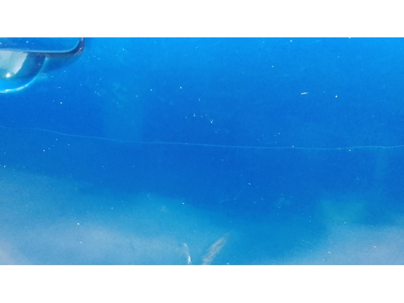 Recambio de puerta delantera derecha para volkswagen new beetle (9c1, 1c1) 1.6 referencia OEM IAM 1C0831052N  