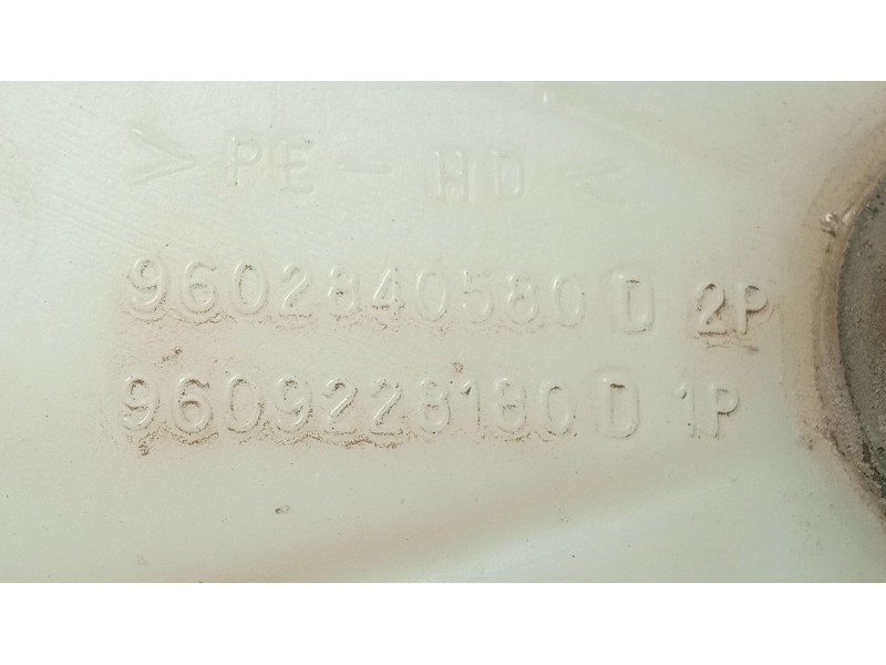 Recambio de deposito limpia para citroën zx (n2) 1.9 d referencia OEM IAM   