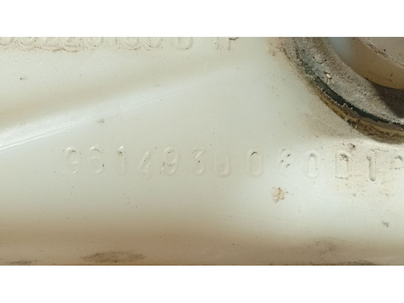 Recambio de deposito limpia para citroën zx (n2) 1.9 d referencia OEM IAM   