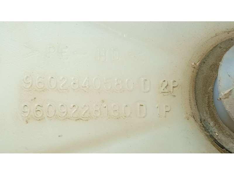 Recambio de deposito limpia para citroën zx (n2) 1.9 d referencia OEM IAM   