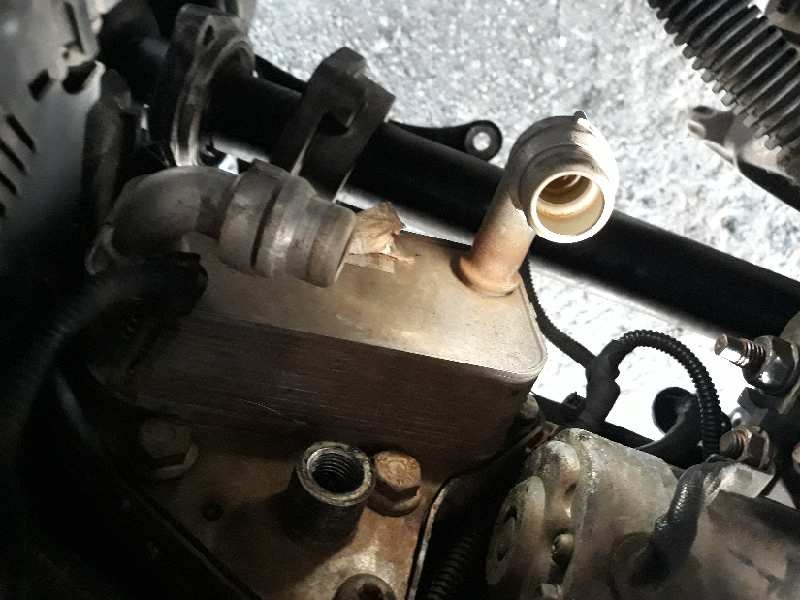 Recambio de enfriador aceite motor para opel insignia berlina cosmo   |   07.08 - 12.11 | 2008 - 2011 | 160 cv / 118 kw referenc